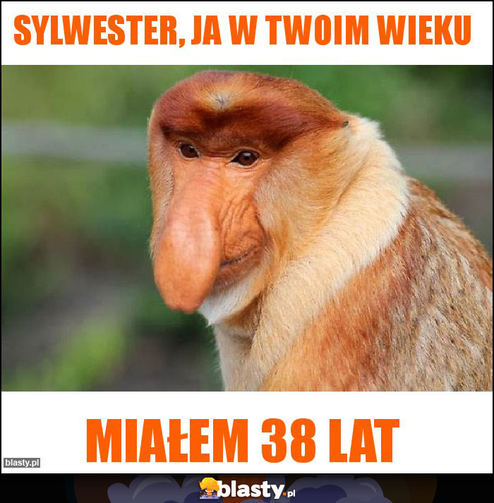 Sylwester, ja w twoim wieku Sylwester, ja w twoim wieku