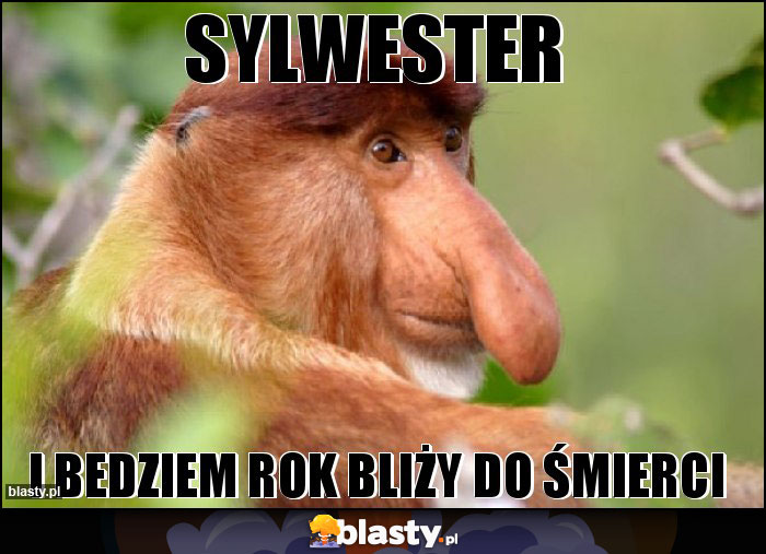 sylwester