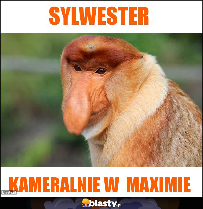 Sylwester