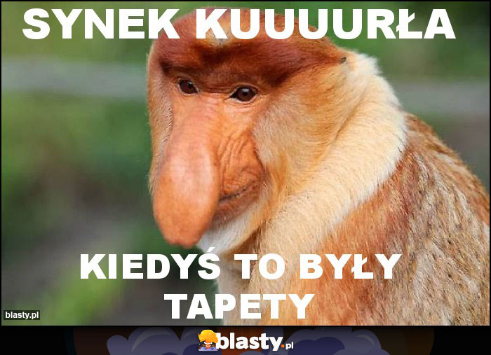 Synek kuuuurła Synek kuuuurła