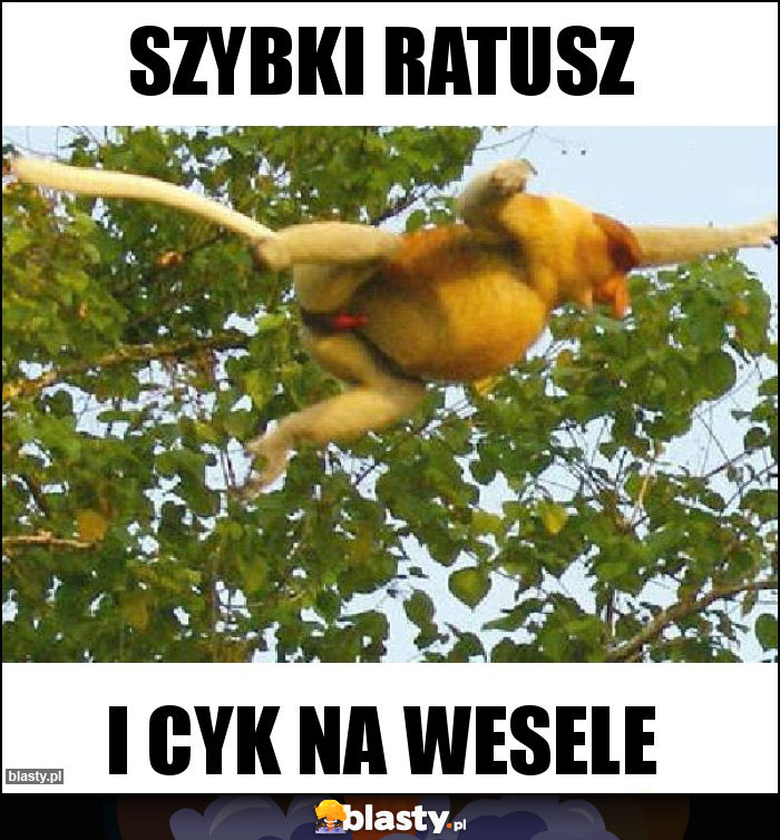 Szybki ratusz Szybki ratusz
