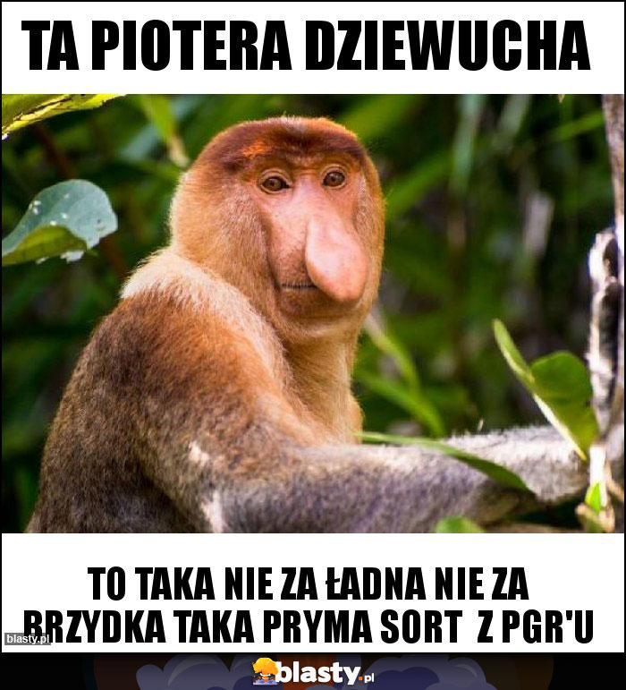 Ta Piotera dziewucha Ta Piotera dziewucha