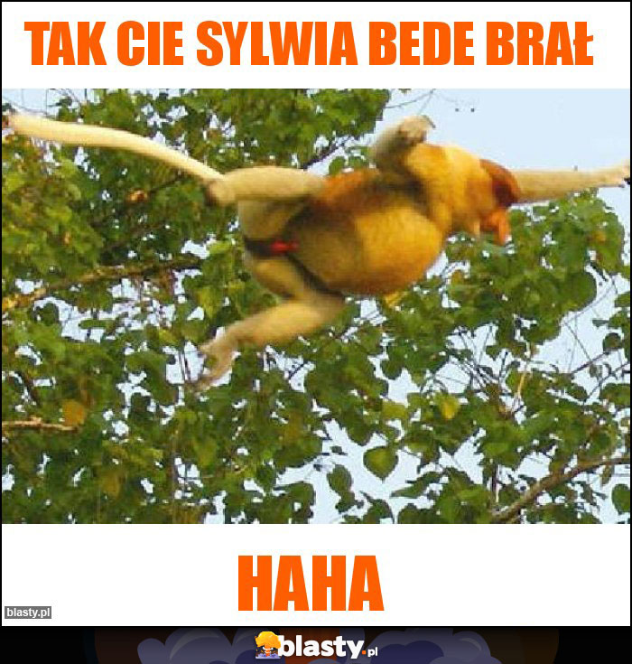 Tak Cie Sylwia bede brał Tak Cie Sylwia bede brał