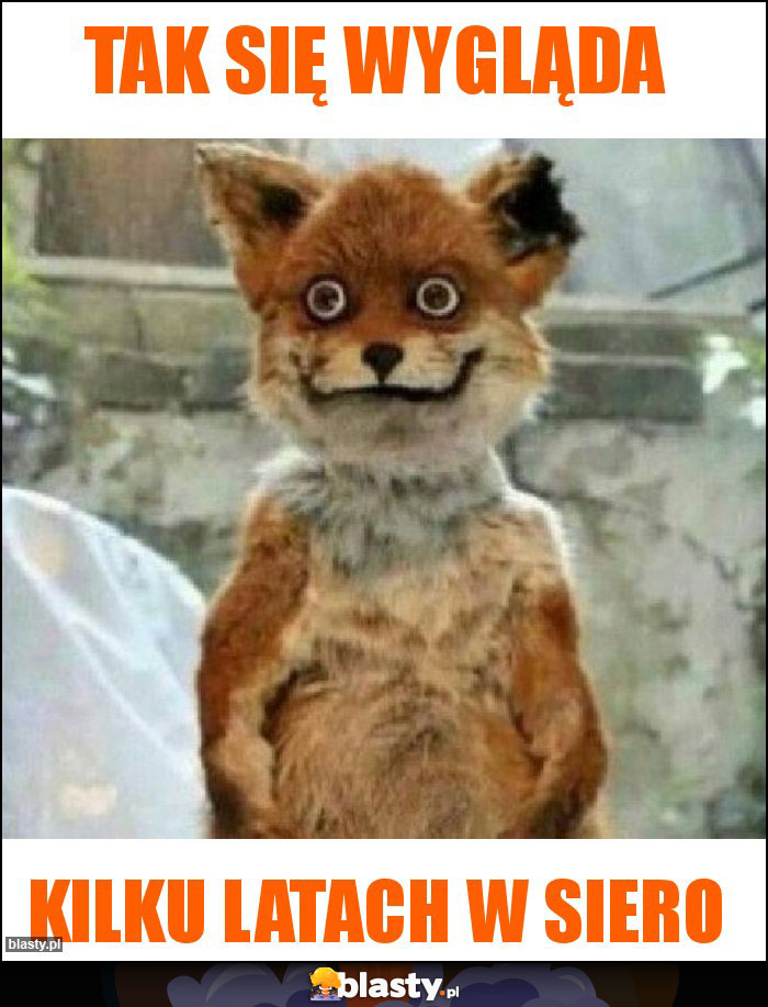 Tak się wygląda Tak się wygląda