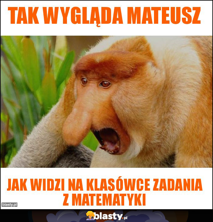 tak wygląda Mateusz tak wygląda Mateusz