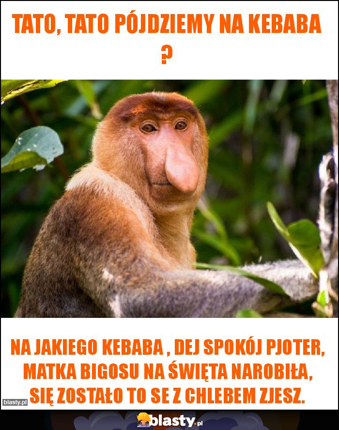 Tato, tato pójdziemy na kebaba ? Tato, tato pójdziemy na kebaba ?