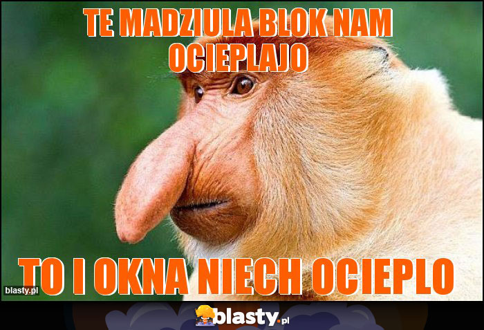 TE MADZIULA BLOK NAM OCIEPLAJO TE MADZIULA BLOK NAM OCIEPLAJO
