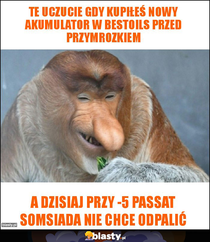 te uczucie gdy kupiłeś nowy akumulator w bestoils przed przymrozkiem te uczucie gdy kupiłeś nowy akumulator w bestoils przed przymrozkiem