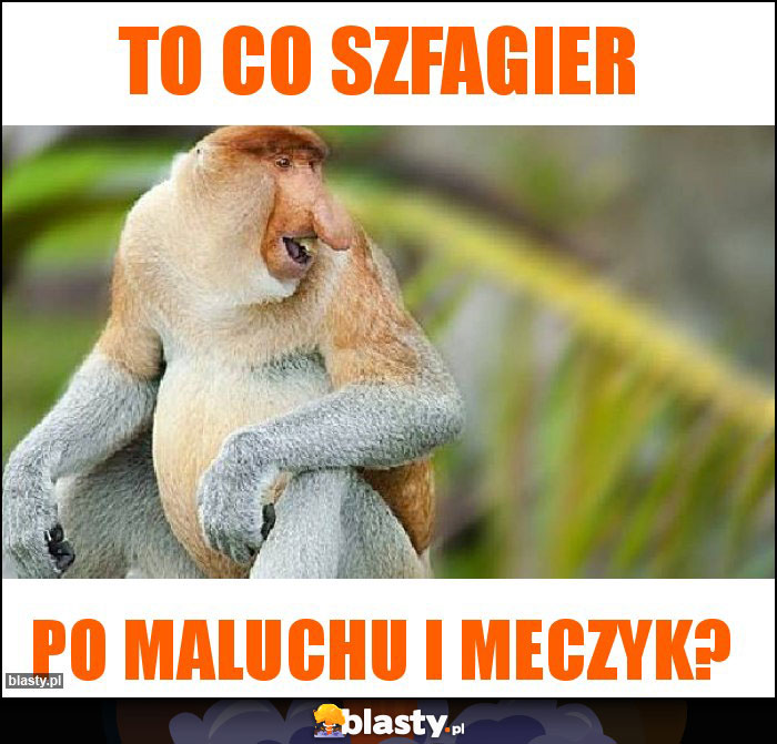 To co szfagier To co szfagier