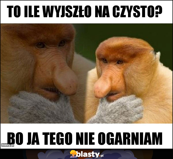 To ile wyjszło na czysto? To ile wyjszło na czysto?