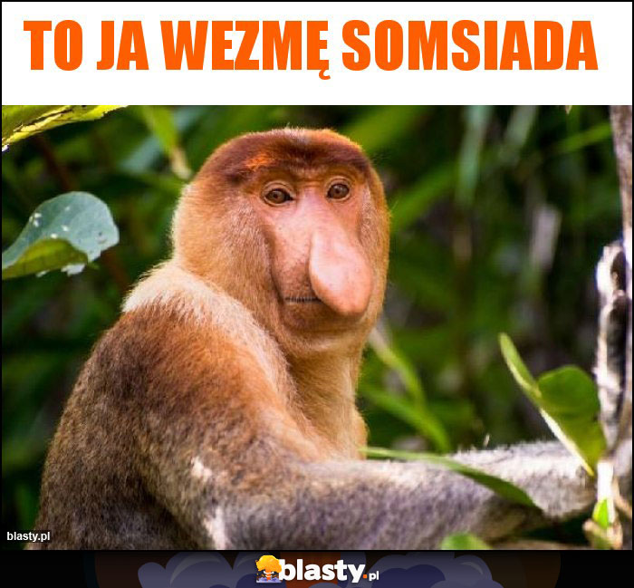 To ja wezmę somsiada To ja wezmę somsiada