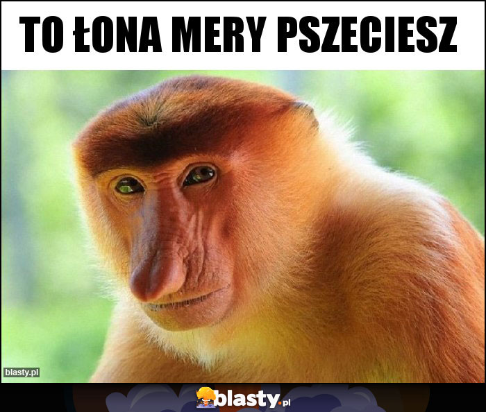 To łona mery pszeciesz To łona mery pszeciesz