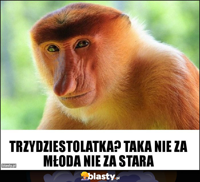 Trzydziestolatka? Taka nie za młoda nie za stara Trzydziestolatka? Taka nie za młoda nie za stara