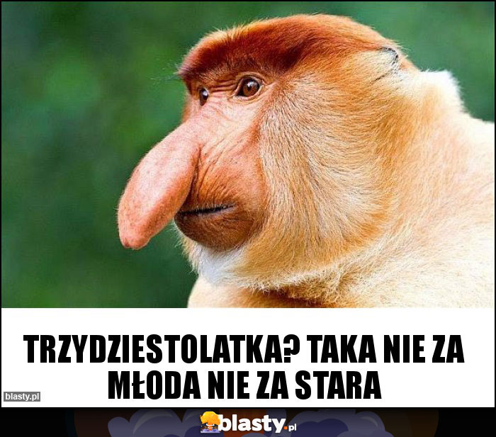 Trzydziestolatka? Taka nie za młoda nie za stara Trzydziestolatka? Taka nie za młoda nie za stara