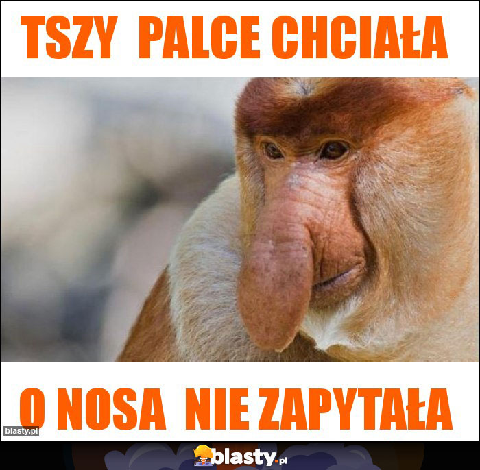 Tszy palce chciała Tszy palce chciała