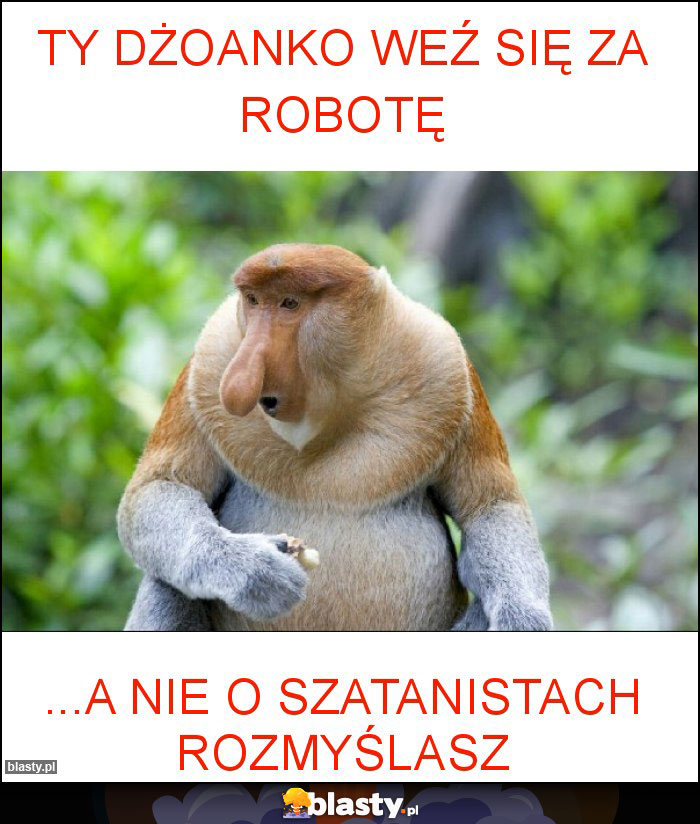Ty Dżoanko weź się za robotę Ty Dżoanko weź się za robotę