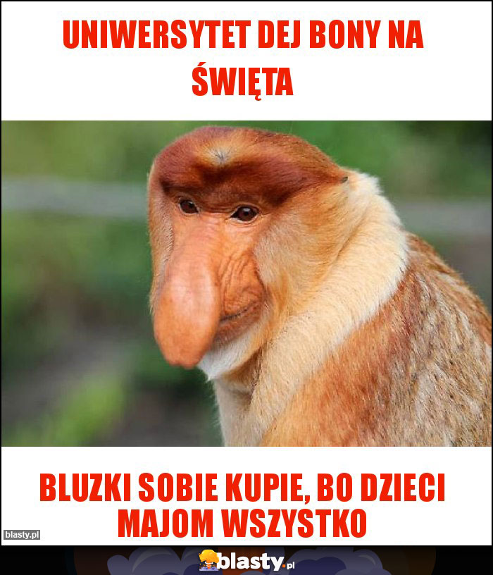 Uniwersytet dej bony na święta Uniwersytet dej bony na święta