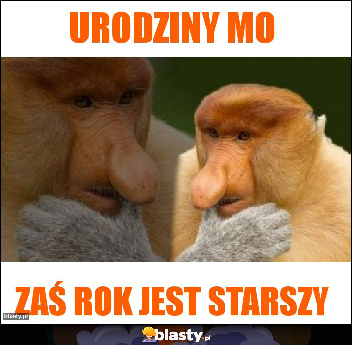 Urodziny mo Urodziny mo