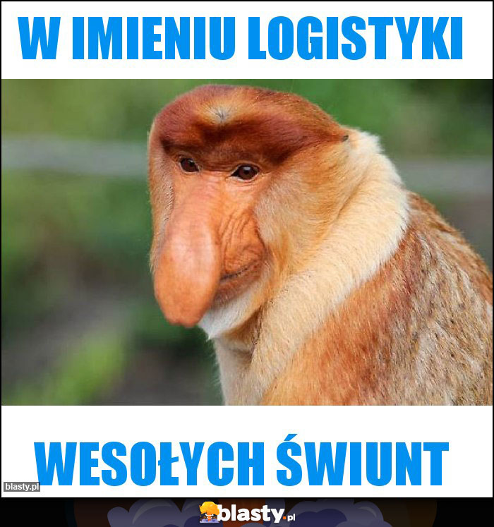 W IMIENIU LOGISTYKI