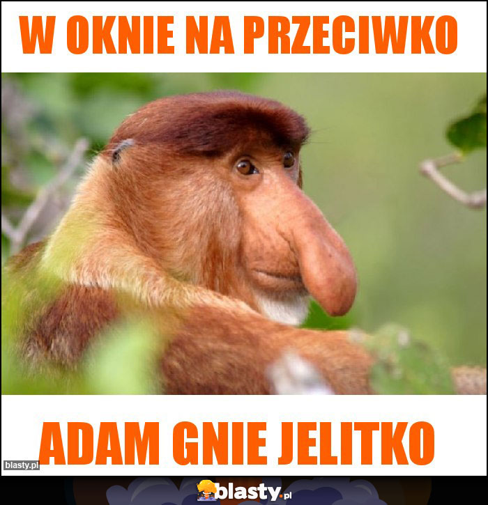 W oknie na przeciwko W oknie na przeciwko