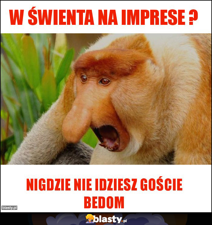 W ŚwIENTA NA IMPRESE ? W ŚwIENTA NA IMPRESE ?