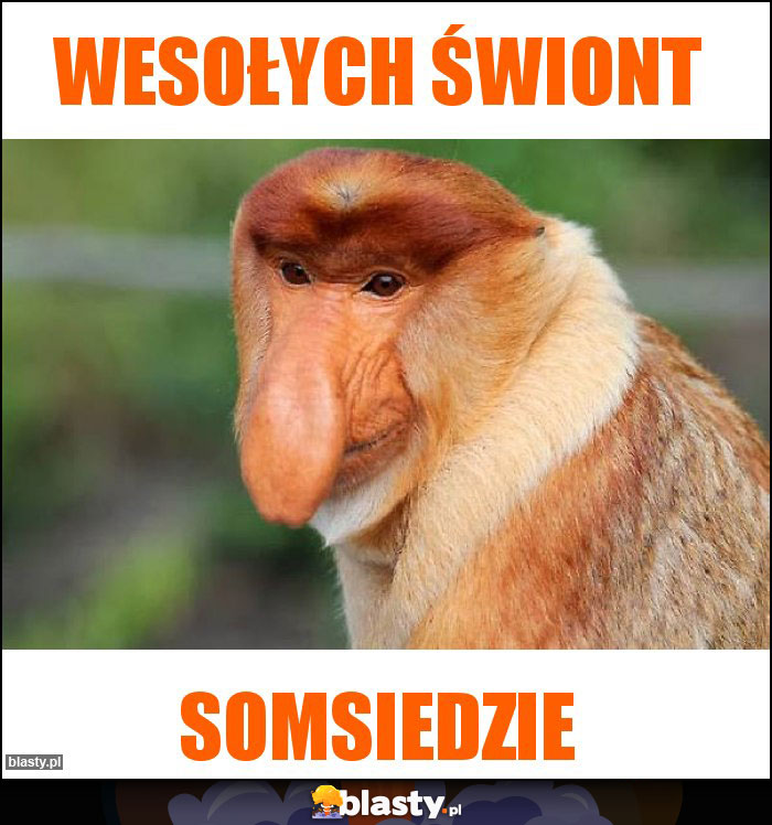Wesołych Świont Wesołych Świont