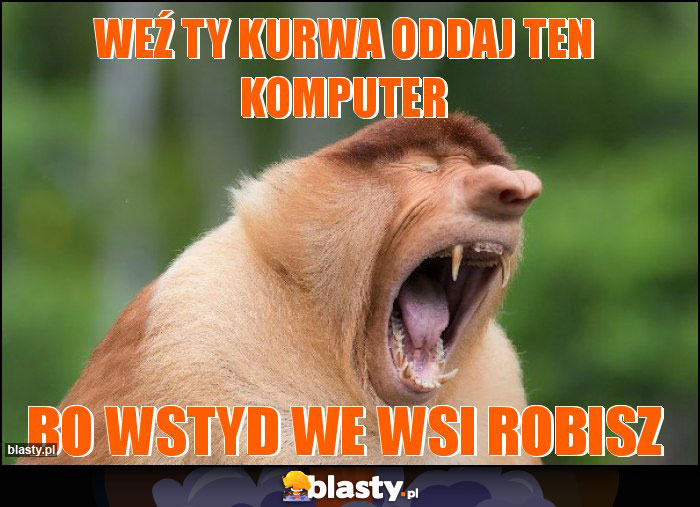Weź ty kurwa oddaj ten komputer