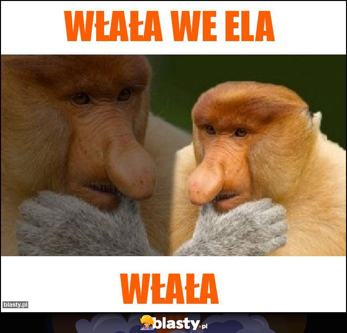 Włała we ela Włała we ela