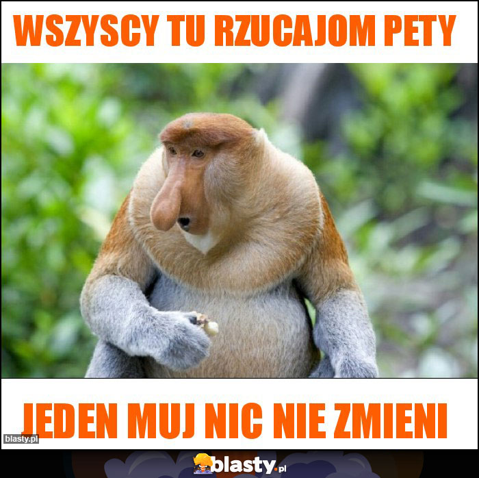 Wszyscy tu rzucajom pety Wszyscy tu rzucajom pety