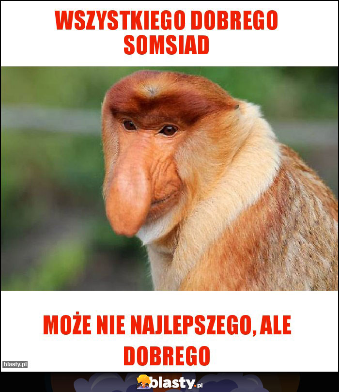 Wszystkiego dobrego somsiad Wszystkiego dobrego somsiad