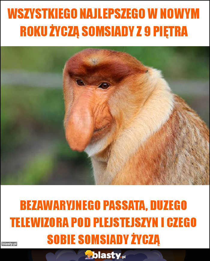 Wszystkiego najlepszego w nowym roku życzą somsiady z 9 piętra Wszystkiego najlepszego w nowym roku życzą somsiady z 9 piętra