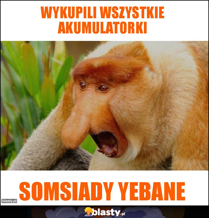 Wykupili wszystkie akumulatorki Wykupili wszystkie akumulatorki