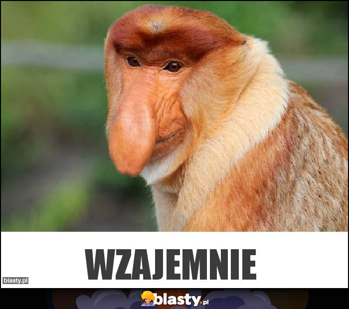 Wzajemnie