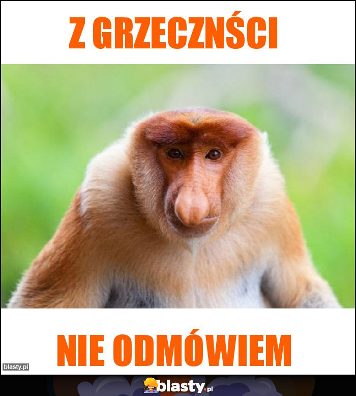 Z grzecznści Z grzecznści
