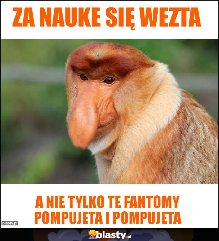 ZA NAUKE SIĘ WEZTA ZA NAUKE SIĘ WEZTA