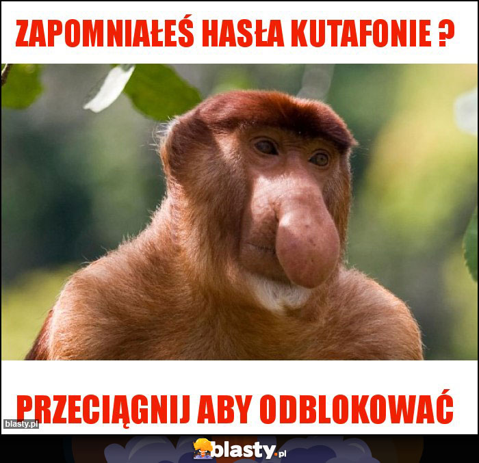 zapomniałeś hasła kutafonie ? zapomniałeś hasła kutafonie ?