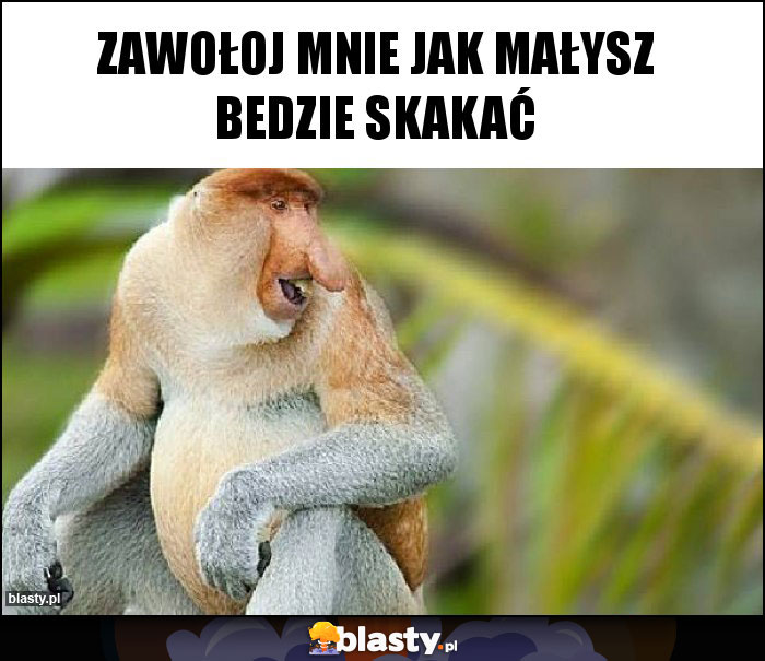 ZAWOŁOJ MNIE JAK MAŁYSZ BEDZIE SKAKAĆ ZAWOŁOJ MNIE JAK MAŁYSZ BEDZIE SKAKAĆ