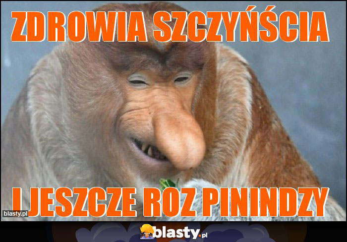 ZDROWIA SZCZYŃŚCIA ZDROWIA SZCZYŃŚCIA