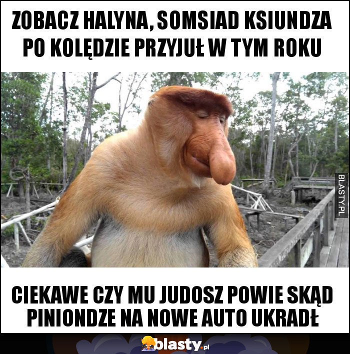 Zobacz Halyna, somsiad ksiundza po kolędzie przyjuł w tym roku Zobacz Halyna, somsiad ksiundza po kolędzie przyjuł w tym roku
