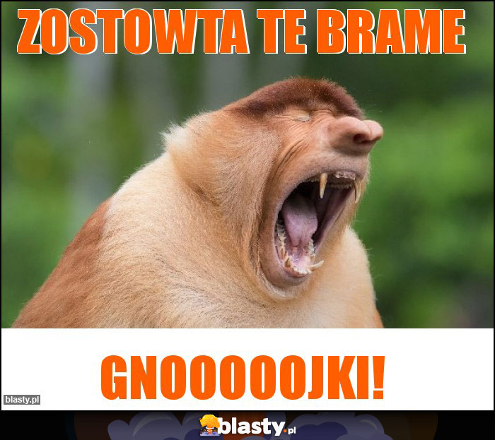 zostowta te brame zostowta te brame