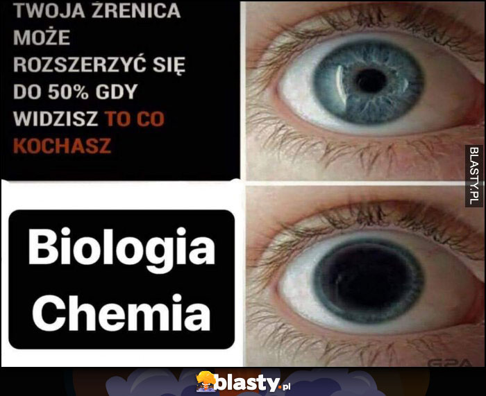 Źrenica