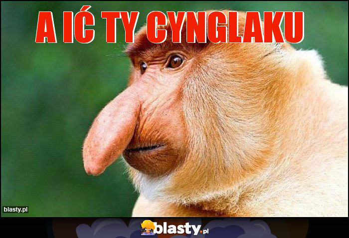 A IĆ TY CYNGLAKU A IĆ TY CYNGLAKU
