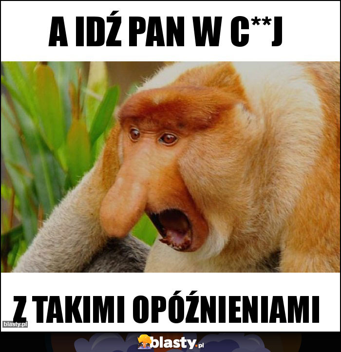 A IDŹ PAN W C**J A IDŹ PAN W C**J