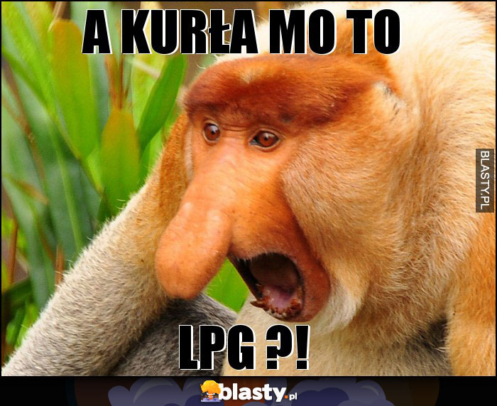 A KURŁA MO TO A KURŁA MO TO