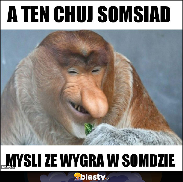 a ten chuj somsiad a ten chuj somsiad