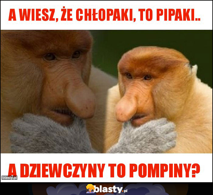 A wiesz, że chłopaki, to pipaki.. A wiesz, że chłopaki, to pipaki..
