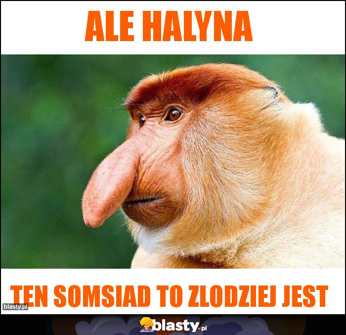 Ale Halyna Ale Halyna