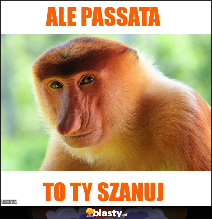 ALE PASSATA ALE PASSATA