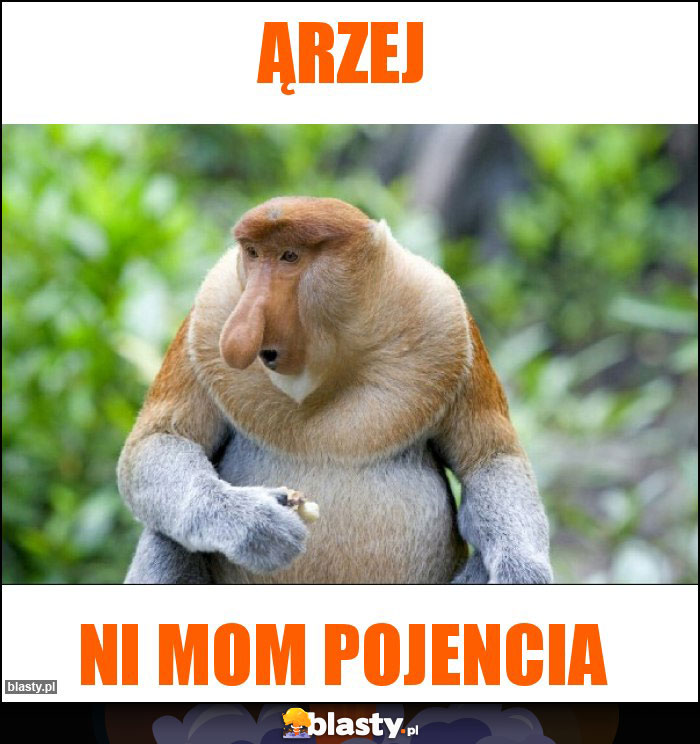 Ąrzej
