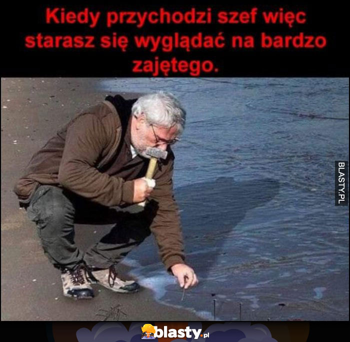 Bardzo zajęty